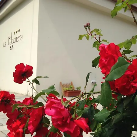 Bed & Breakfast La Falconera Turin