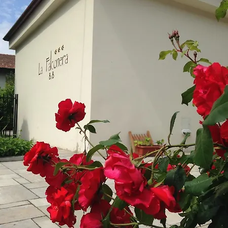 Bed and breakfast La Falconera *